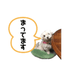 めいたろうスタンプ②（個別スタンプ：13）