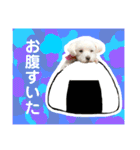 めいたろうスタンプ②（個別スタンプ：15）