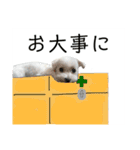 めいたろうスタンプ②（個別スタンプ：16）