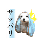めいたろうスタンプ②（個別スタンプ：18）