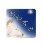 わが家のいぬ（個別スタンプ：4）