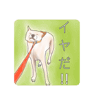 わが家のいぬ（個別スタンプ：6）