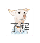 わが家のいぬ（個別スタンプ：7）