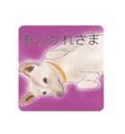 わが家のいぬ（個別スタンプ：8）