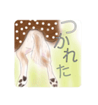 わが家のいぬ（個別スタンプ：10）