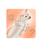 わが家のいぬ（個別スタンプ：12）