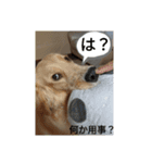 EひなまつりG（個別スタンプ：2）