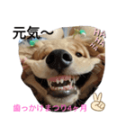 EひなまつりG（個別スタンプ：3）