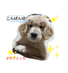 EひなまつりG（個別スタンプ：4）