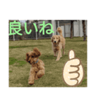 EひなまつりG（個別スタンプ：7）