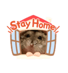 hamumame（個別スタンプ：4）