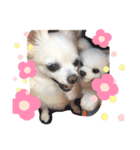 大好きけんちゃん（個別スタンプ：5）