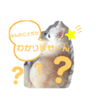 大好きけんちゃん（個別スタンプ：6）