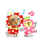 ぐり坊 3（個別スタンプ：3）
