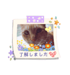 ぐり坊 3（個別スタンプ：6）