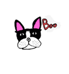 ボストンテリアのBooちゃん（個別スタンプ：1）