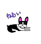 ボストンテリアのBooちゃん（個別スタンプ：4）