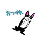 ボストンテリアのBooちゃん（個別スタンプ：6）