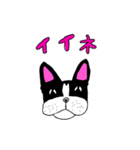 ボストンテリアのBooちゃん（個別スタンプ：7）