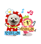 ポメコロちゃん（個別スタンプ：9）