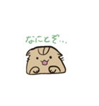 キジトラ猫の豆太さん（個別スタンプ：7）