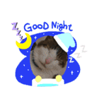 からあげは猫の名前です。part2（個別スタンプ：3）