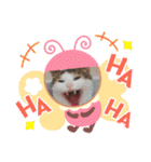 からあげは猫の名前です。part2（個別スタンプ：5）