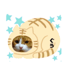 からあげは猫の名前です。part2（個別スタンプ：7）