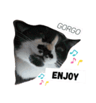 からあげは猫の名前です。part2（個別スタンプ：9）
