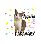 からあげは猫の名前です。part2（個別スタンプ：11）