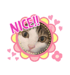 からあげは猫の名前です。part2（個別スタンプ：12）