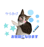 からあげは猫の名前です。part2（個別スタンプ：18）