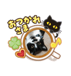 からあげは猫の名前です。part2（個別スタンプ：20）