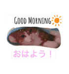 からあげは猫の名前です。part2（個別スタンプ：21）