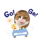 からあげは猫の名前です。part2（個別スタンプ：24）