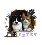 からあげは猫の名前です。part2（個別スタンプ：26）