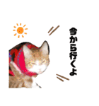からあげは猫の名前です。part2（個別スタンプ：27）