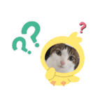 からあげは猫の名前です。part2（個別スタンプ：29）