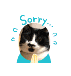 からあげは猫の名前です。part2（個別スタンプ：31）