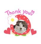 からあげは猫の名前です。part2（個別スタンプ：32）