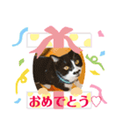 からあげは猫の名前です。part2（個別スタンプ：34）