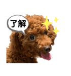 ラクスタンプ③（個別スタンプ：9）