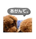 ラクスタンプ③（個別スタンプ：11）