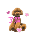 わんにゃん大家族1（個別スタンプ：6）