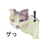 わんにゃん大家族1（個別スタンプ：10）