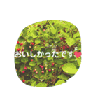 フラワー ひとことメッセージ（個別スタンプ：8）