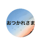 フラワー ひとことメッセージ（個別スタンプ：12）