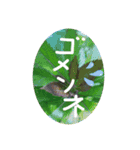 フラワー ひとことメッセージ（個別スタンプ：15）