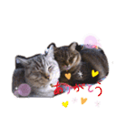 まりんとちび（個別スタンプ：1）