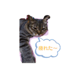 まりんとちび（個別スタンプ：4）